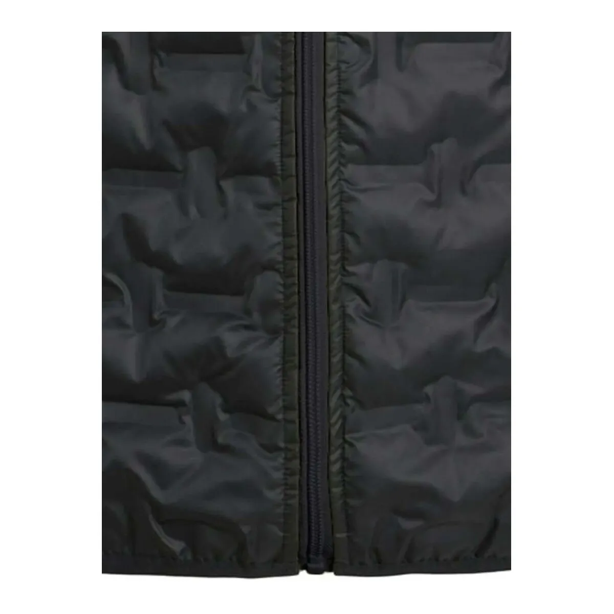 12249374 QUILTED BODYWARMERBLACK
