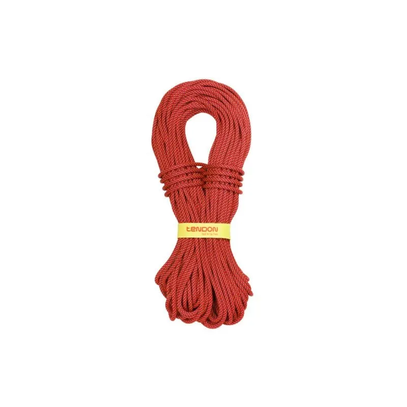 Cuerda Tendon Ambition 7.9 Alpine