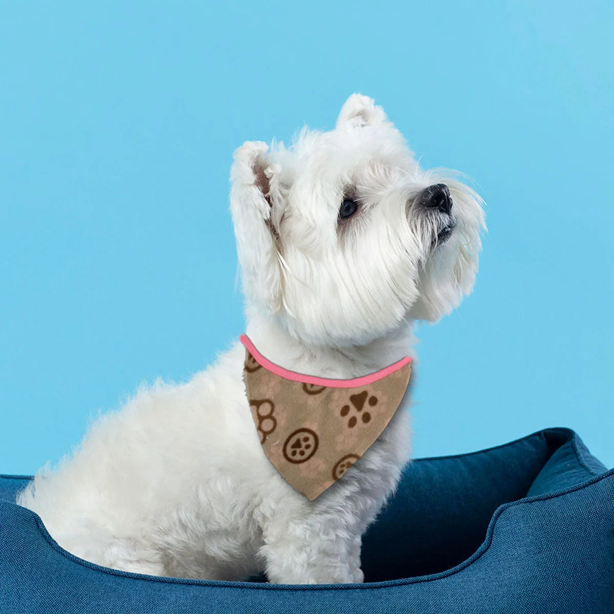 Pashmina para Mascotas con Diseo de Huellitas, color Capuccino