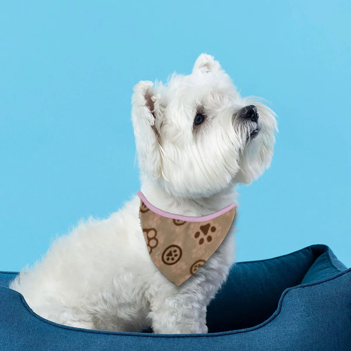 Pashmina para Mascotas con Diseo de Huellitas, color Capuccino