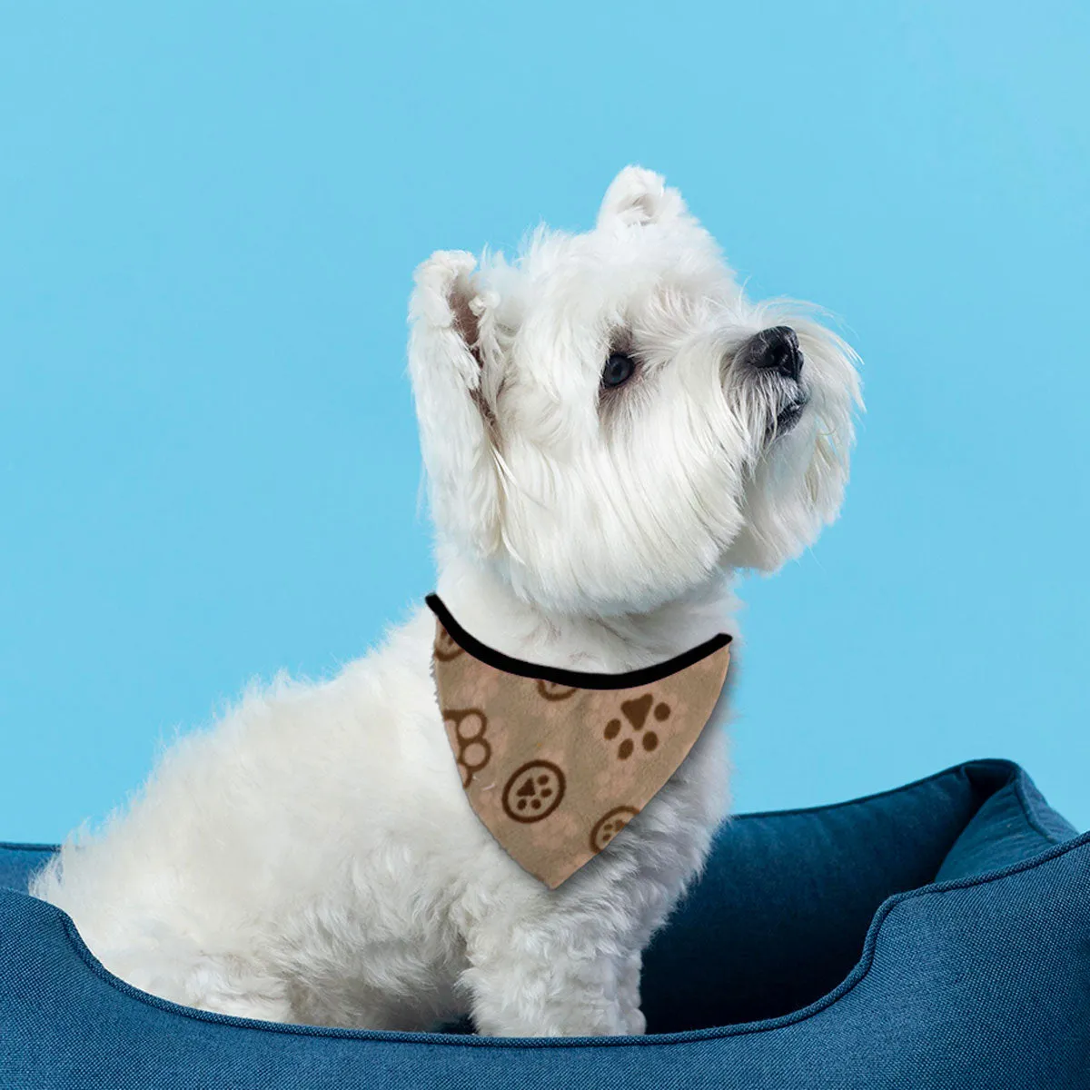 Pashmina para Mascotas con Diseo de Huellitas, color Capuccino