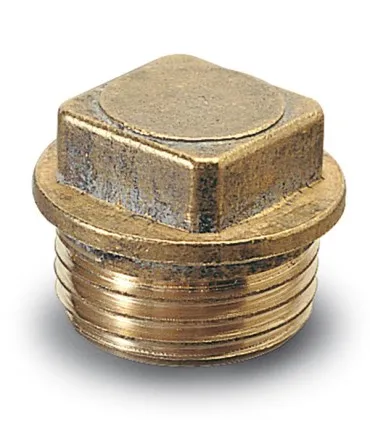 Tapon rosca macho bl/2 ANZAPACK 3/4'' 952543X
